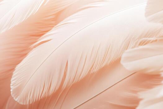 Soft pink feathers create a delicate texture for design and crafts photo