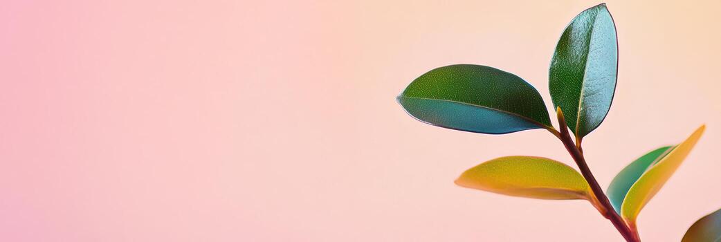 Colorful leaves against a soft pastel background creating a tranquil scene photo