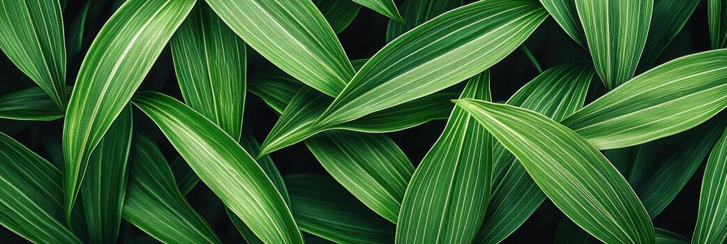 Green leaves with vibrant stripes create a lush, natural background photo
