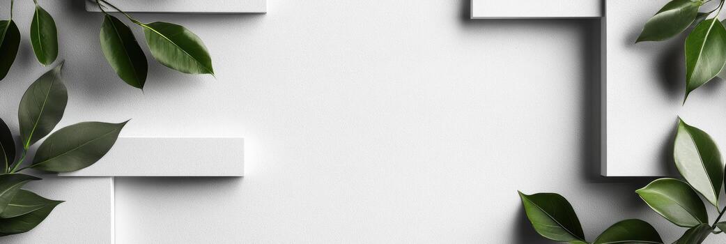 Green leaves framing a minimalistic white background for design photo