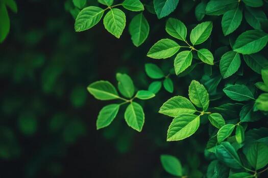 Fresco verde hojas crear un calmante atmósfera en un sombreado zona foto