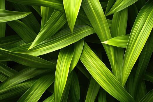 Close-up view of green leaves creating a lush natural background photo