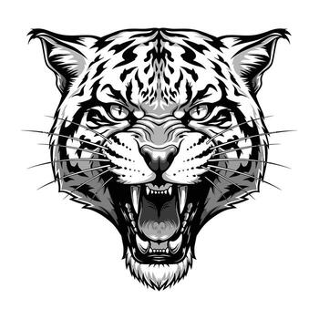 Grayscale illustration of a fierce bobcat head roaring with sharp teeth and intense eyes lynx vector