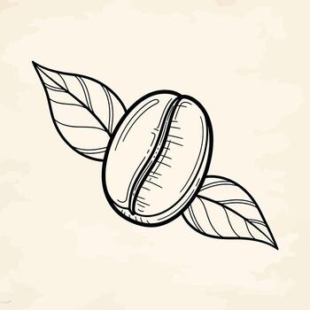 Hand Drawn Coffee Bean with Leaves on Textured Background leaf vector