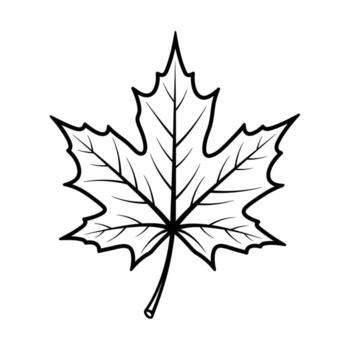 Simple black outline drawing of a maple leaf on a white background autumn fall vector