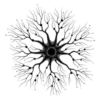 Stylized black ink illustration of a neuron or nerve cell with a central nucleus and radiating dendrites and axons on a white background vector