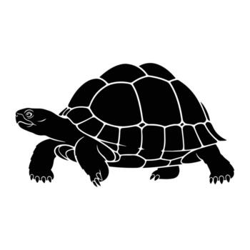 Black tortoise shell reptile walking turtle vector