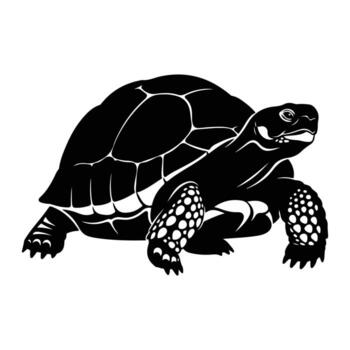 negro Tortuga cáscara modelo reptil animal vector