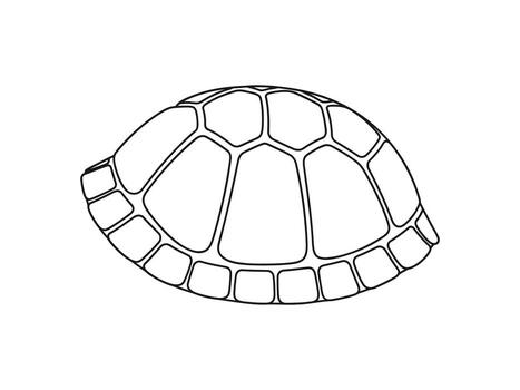 mano dibujado bosquejo de un Tortuga cáscara en blanco antecedentes vector