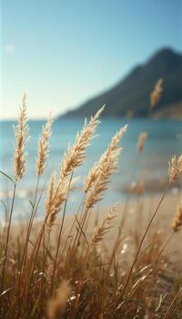 A view of the ocean and mountains from a beach photo