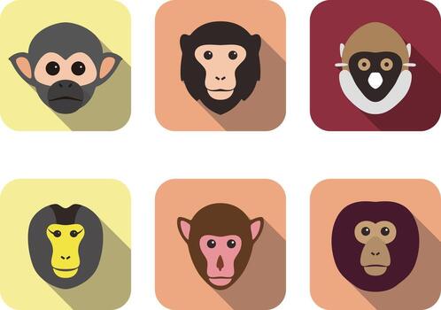 Collection of cartoon monkey faces in various colors and styles displayed in a grid pattern vector