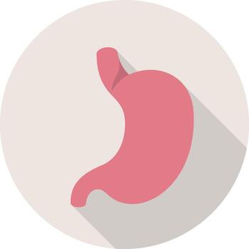 Understanding the human stomach structure and function in anatomy and science education vector