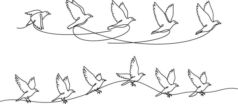 Continuous line drawing of birds taking flight, depicting movement and freedom in simple strokes vector