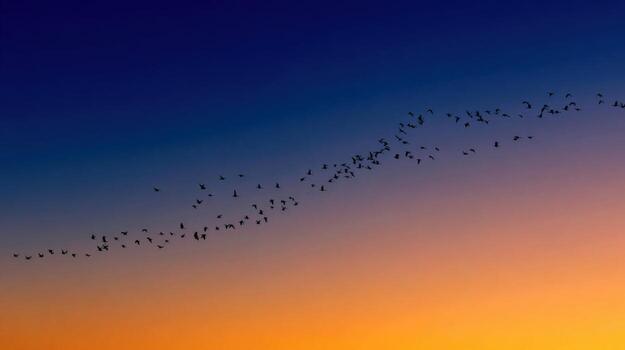 At Autumn Dusk Birds Are Migrating In A V Formation photo