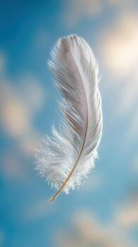 A Vertical Picture Of A Single Feather Falling From The Sky photo