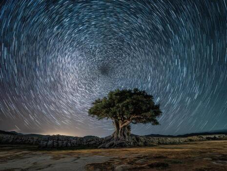 Star Trails Forming Circles Over A Venerable Old Tree photo