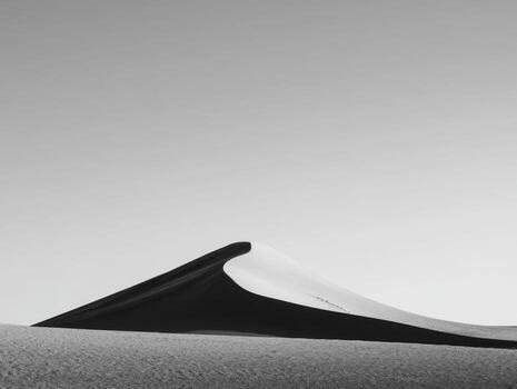 A Simple Black And White Photo Of An Elegant Dune Curve