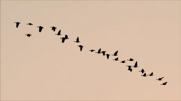 The Farewell Flight of a Flock in the November Twilight photo