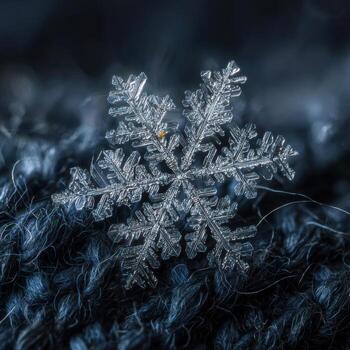 The Precise Geometry within one Individual Snowflake photo
