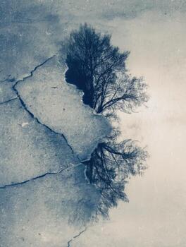 The Soul Fractured a Double Exposure of Ice on a Tree photo