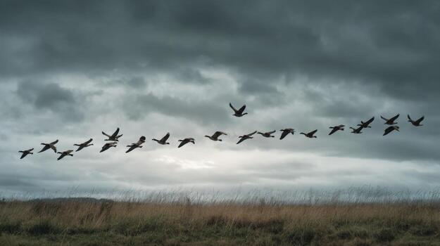 A Flock Of Geese In A V Pattern Against An Autumn Sky photo