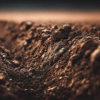 The Hearty Texture Of A Field Of Dark Plowed Ground photo