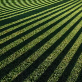 A Field Is Marked By The Graphic Shadows Of A Fence photo