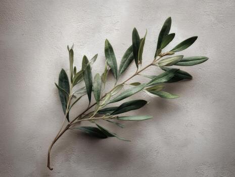 Modern Styling Of An Olive Branch On A Greige Texture photo