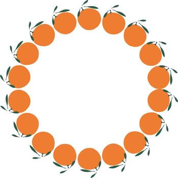 Tangerine fruit frame. Oranges simple sweet fruits border. Template free space for your text vector