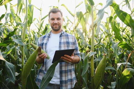 Man holding tablet in cornfield photo