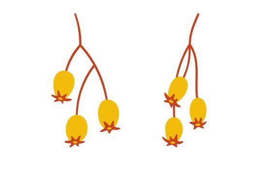 Set of seeds shrubs, yellow berries on twigs. Simple hand drawn elements on white background for stickers, web design, and postcards vector