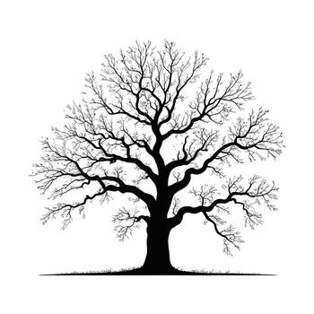 Elegant Silhouette Illustration of a Deciduous Tree with Sparse Leaves on White Background vector