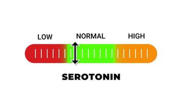 serotonin nivå bar animering låg, vanligt, hög indikator skala video