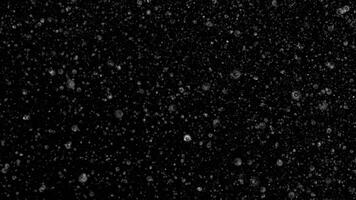 Loop grey circle particles animation on black abstract background video