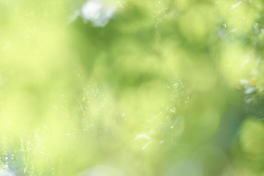 Abstract green and yellow bokeh light pattern with soft focus and natural vibes. photo