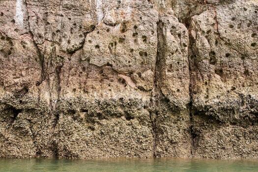 Eroded limestone cliff with fossils and algae near waterline reflecting geological history and natural patterns. photo
