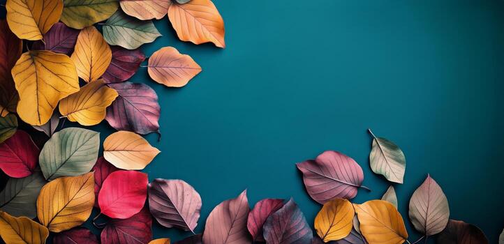 Arrangement of Colorful Autumn Leaves Creates a Border on Teal Background photo