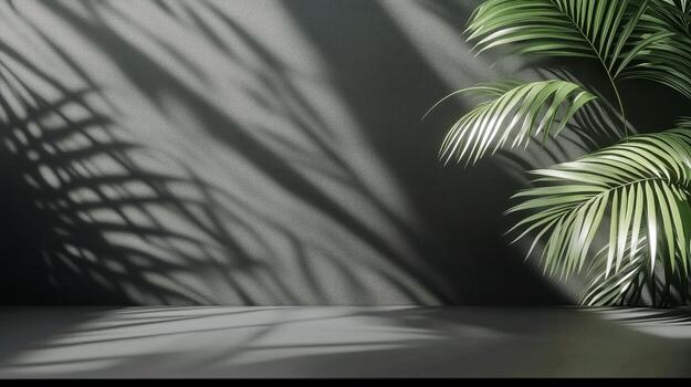 Indoor Palm Tree Creates Shadows on a Textured Wall in Morning Light photo