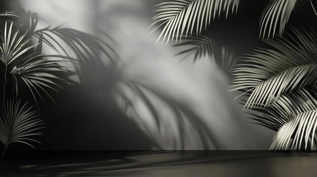 Palm Tree Leaves Casting Shadows on a Grey Wall During Daylight in a Studio photo