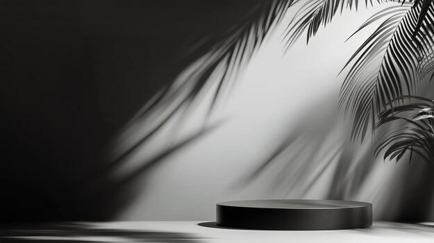 Palm Tree Leaves Casting Shadows on a Grey Wall During Daylight in a Studio. photo