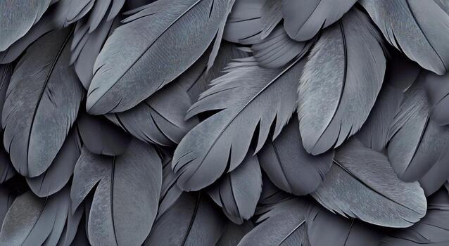 Detailed Black Feathers Layered Together Create a Striking Texture and Pattern in Soft Light photo