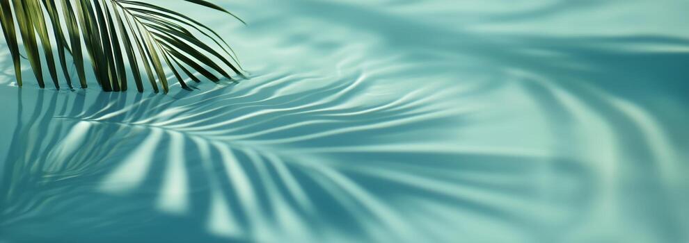 Calm Water Reflections With Palm Tree Shadows on Tranquil Turquoise Surface photo