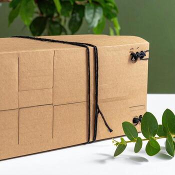 Close-up of a natural kraft cardboard box tied with black string. Green plants in background photo