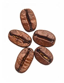 Roasted coffee beans arranged in a starburst pattern photo