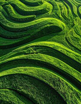 lozano verde aterrazado campos, devanado patrones foto