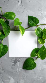 Blank white square paper framed by vibrant green vines on a textured gray background photo
