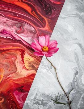 Pink cosmos flower on a vibrant, abstract background photo