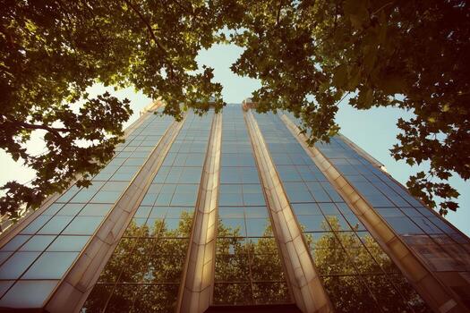 Urban reflections in a modern office building surrounded by lush greenery in bright daylight photo
