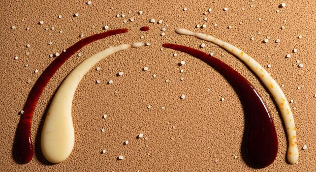 Food Photography Top View Culinary with sauce drizzles shaped as arcs around the frame, placed within a cork sheet photo