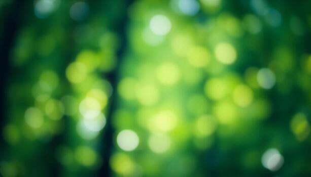 Abstract green trees with bokeh effect photo